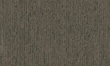 Horizons Viscose Chenille