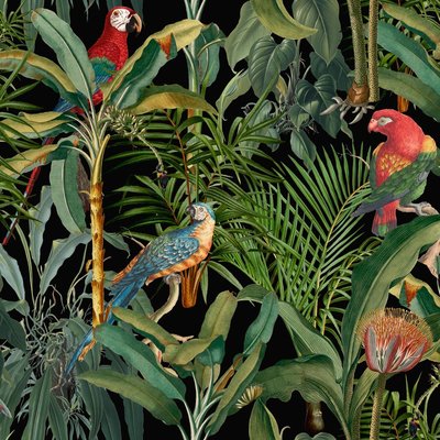 Mind the Gap Parrots of Brasil Antracite behang