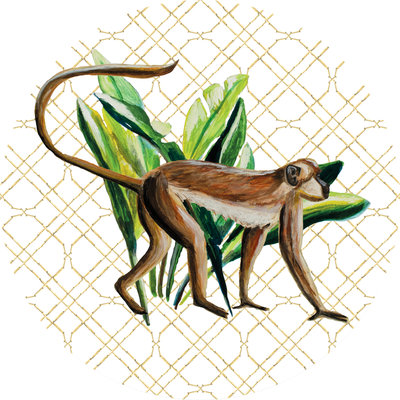 Catchii Wild Jungle Stories Monkey Behangcirkel