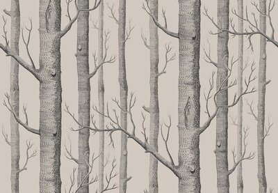 Behang Bomen 442205097 - Behang Bomen