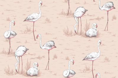 Flamingo Behang Cole and Son - Flamingos