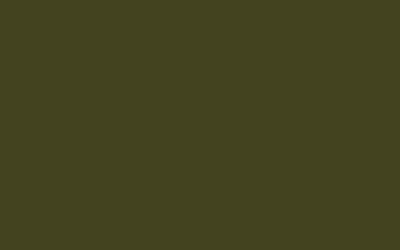 Little Greene Verf Olive Colour (72)