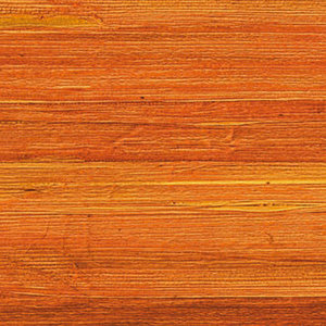 Behang Oranje 148687745 - Behang Oranje
