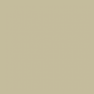Little Greene Verf Stone Dark Cool (67)