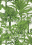 Thibaut Palm Botanical Behang 03