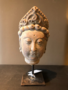 Chinees Koninginnenhoofd Terracotta