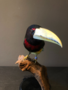 Opgezette Toucanet Vogel 