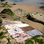 BIC Carpets Haven Vloerkleed Ocean Green 11 mm